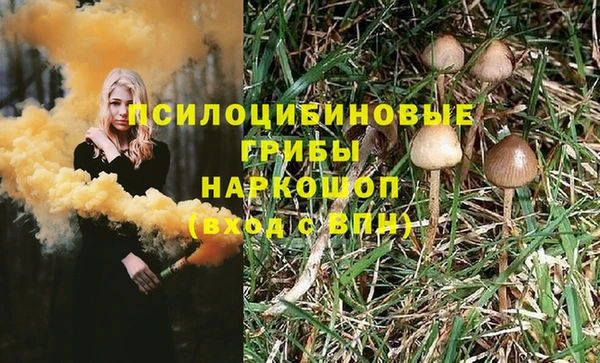 спиды Аркадак