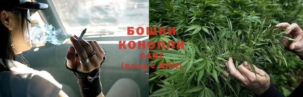 спиды Аркадак